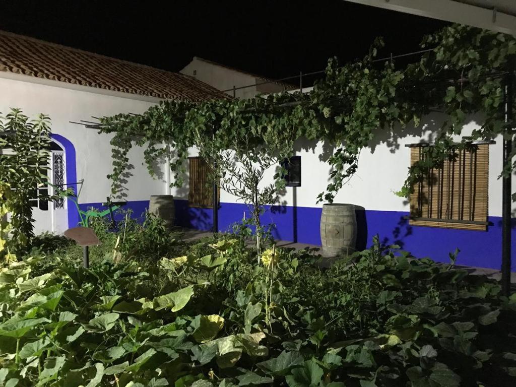 Holiday home Manchega La Alameda de Cervera